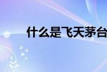 什么是飞天茅台（什么是飞行模式）