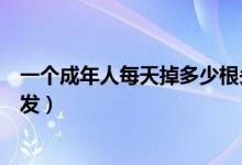 一个成年人每天掉多少根头发属于正常现象（为什么会掉头发）