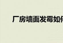 厂房墙面发霉如何处理（该怎么除霉）