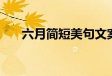 六月简短美句文案（关于六月的句子）