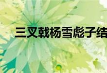三叉戟杨雪彪子结局（三叉戟剧情简介）