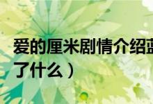 爱的厘米剧情介绍蓝俏俏结局（爱的厘米讲述了什么）