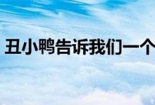 丑小鸭告诉我们一个什么道理（丑小鸭简介）