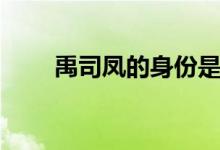 禹司凤的身份是什么（禹司凤剧情）