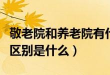 敬老院和养老院有什么区别（敬老院和养老院区别是什么）