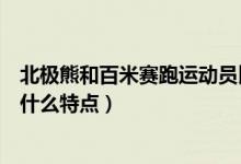 北极熊和百米赛跑运动员比短跑谁的速度会更快（北极熊有什么特点）