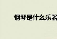 钢琴是什么乐器（钢琴的发源介绍）