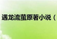 遇龙流萤原著小说（流萤的一个怎样的人物）