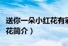 送你一朵小红花有彩蛋吗（电影送你一朵小红花简介）