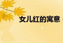 女儿红的寓意（女儿红寓意介绍）