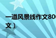 一道风景线作文800字字（一道风景线作文范文）