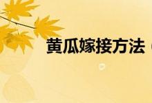 黄瓜嫁接方法（三种方法告诉你）