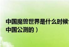 中国魔兽世界是什么时候公测的（魔兽世界什么时候开始在中国公测的）