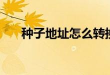 种子地址怎么转换成文件（种子地址）