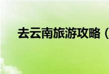 去云南旅游攻略（云南旅游攻略5日游）