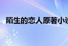 陌生的恋人原著小说（陌生的恋人的简介）