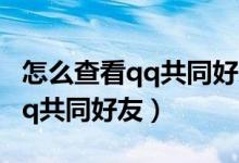 怎么查看qq共同好友是具体是谁（怎么查看qq共同好友）