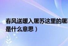 春风送暖入屠苏这里的屠苏是什么（春风送暖入屠苏的屠苏是什么意思）