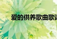爱的供养歌曲歌词（完整版歌词展示）