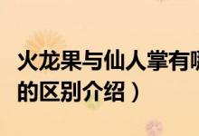 火龙果与仙人掌有哪些差异（火龙果与仙人掌的区别介绍）