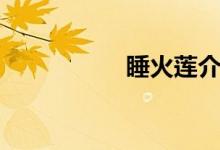 睡火莲介绍（睡火莲）