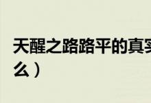天醒之路路平的真实身份（天醒之路讲述了什么）