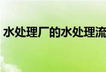 水处理厂的水处理流程（污水水处理的方式）