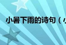 小暑下雨的诗句（小暑下雨的诗句有哪些）