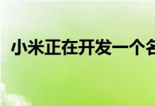 小米正在开发一个名为Mi Health的新应用