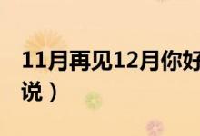 11月再见12月你好短句（关于迎接12月的说说）