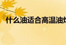 什么油适合高温油炸（什么油高温油炸好）