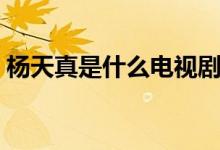 杨天真是什么电视剧（天真遇到现实这部剧）