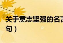 关于意志坚强的名言（有关意志坚强的名言警句）