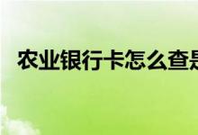 农业银行卡怎么查是几类账户（如何查询）