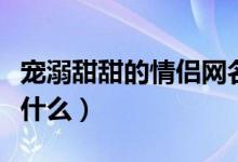 宠溺甜甜的情侣网名（宠溺甜甜的情侣网名是什么）