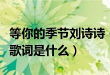 等你的季节刘诗诗（刘诗诗演唱的等你的季节歌词是什么）