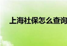 上海社保怎么查询（上海社保如何查询）