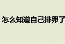 怎么知道自己排卵了（如何确定自己排卵了）