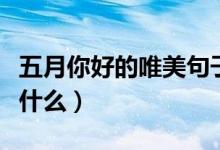 五月你好的唯美句子（五月你好的唯美句子有什么）