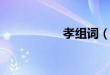孝组词（关于孝组词）