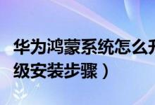 华为鸿蒙系统怎么升级安装（华为鸿蒙系统升级安装步骤）