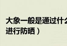大象一般是通过什么方式来防晒的（大象怎么进行防晒）