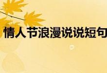 情人节浪漫说说短句（情人节句子浪漫语录）