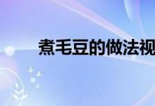 煮毛豆的做法视频（煮毛豆的做法）