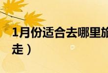 1月份适合去哪里旅游（赶紧带上爱人说走就走）