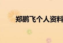 郑鹏飞个人资料（郑鹏飞个人简介）