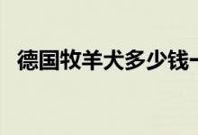 德国牧羊犬多少钱一只（德国牧羊犬介绍）