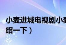 小麦进城电视剧小麦是谁演的（下面为大家介绍一下）