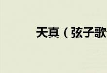 天真（弦子歌词 歌曲天真歌词）