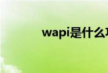 wapi是什么功能（wap网站）